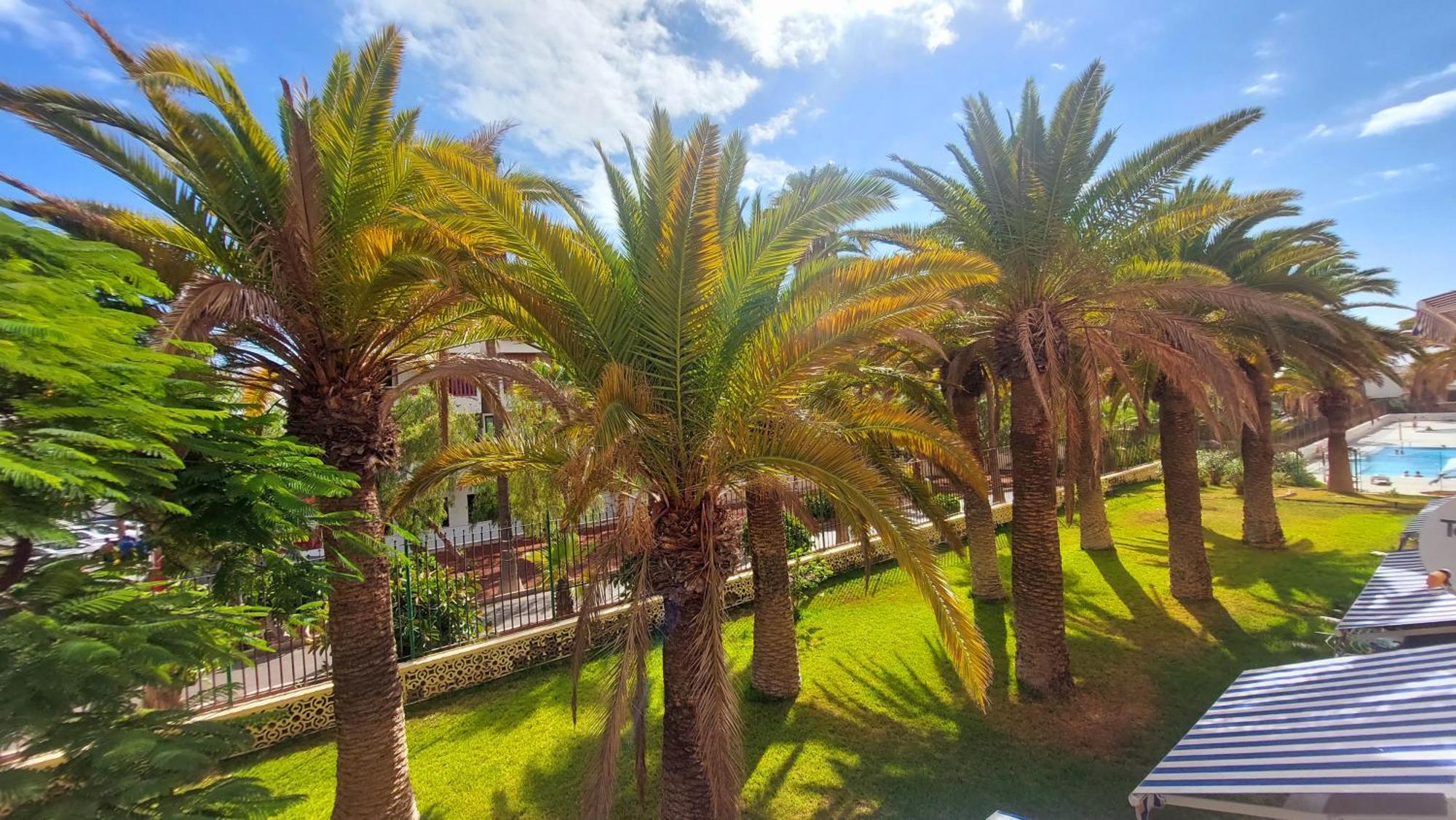 Apartamento Margarita Con Piscina En Playa Honda, Playa Las Americas Arona  Eksteriør billede